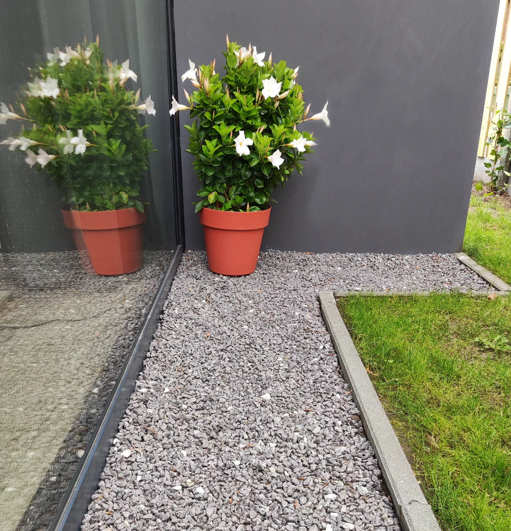 Miniatuur 2